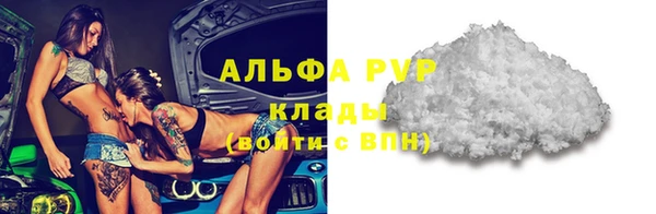спайс Нея