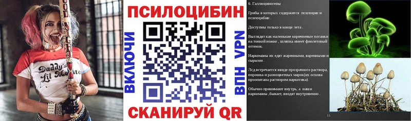Галлюциногенные грибы мицелий  Ставрополь 