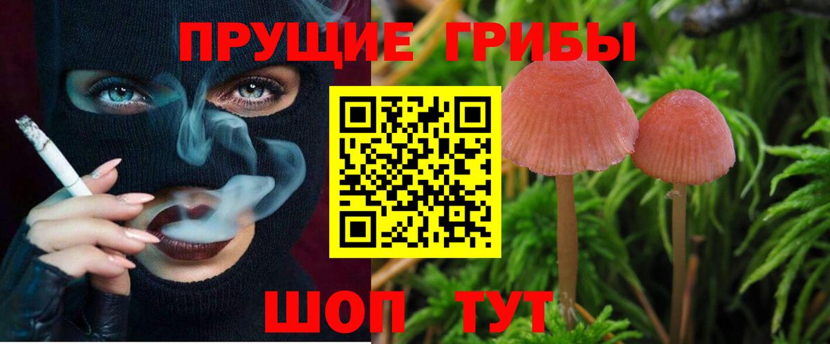 Ставрополь  Псилоцибиновые грибы Magic Shrooms  Галлюциногенные грибы MAGIC MUSHROOMS  Вход с VPN 