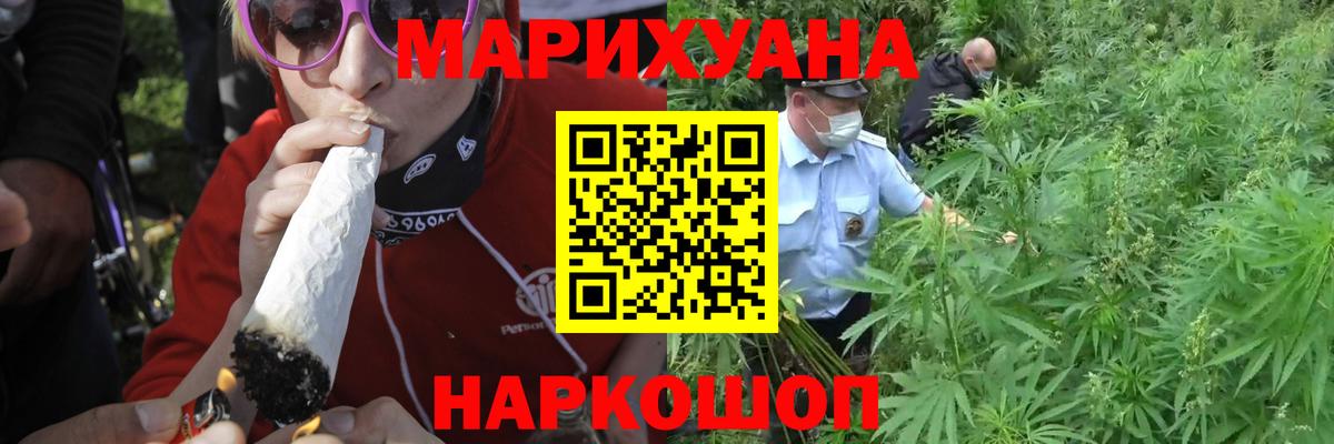 Бошки марихуана конопля Ставрополь